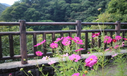 Υ쥹ȥϥǡݽʎ